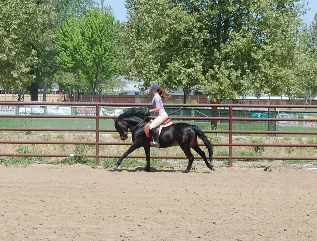 Gallery Rachel at show