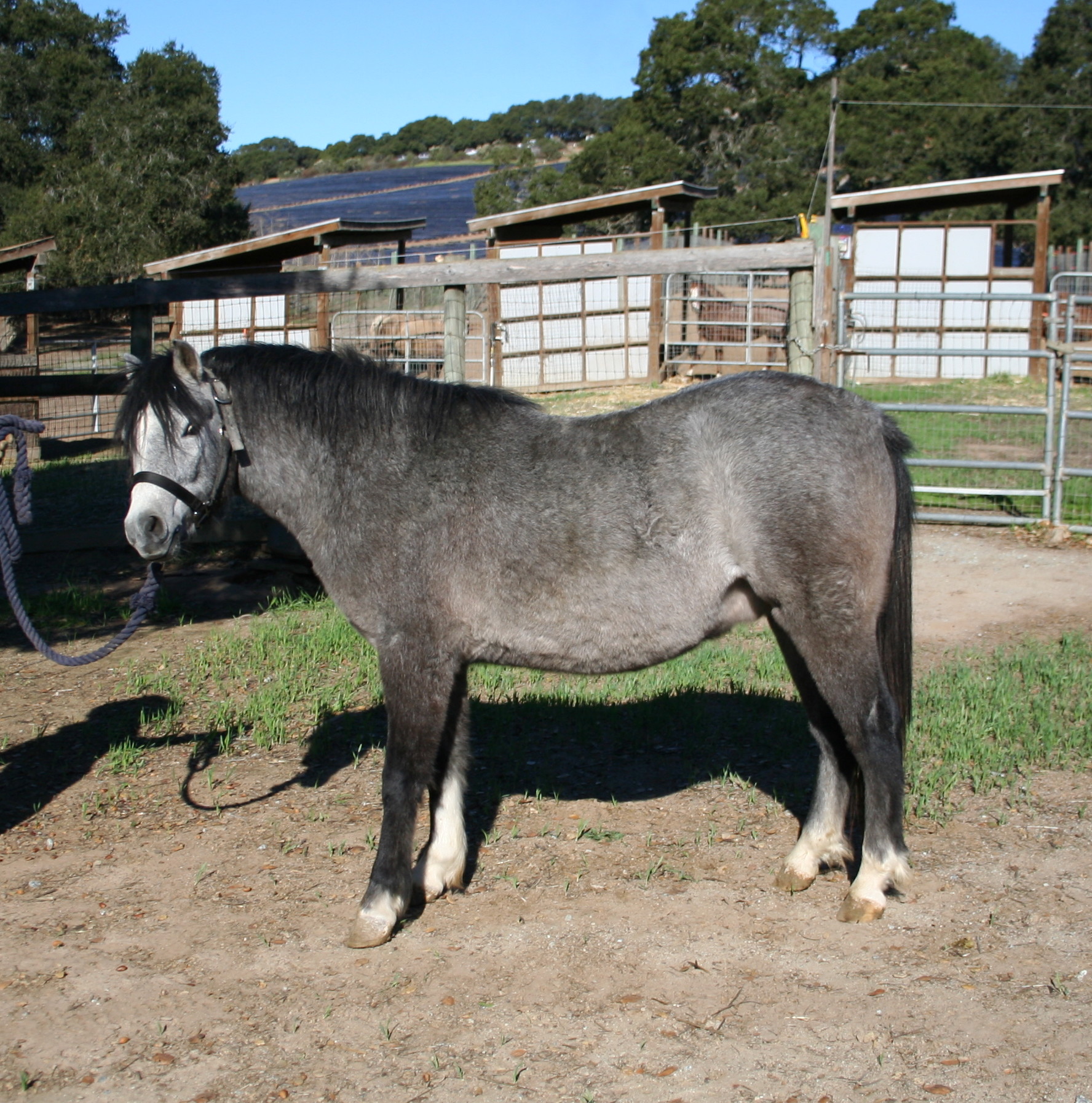 Jason 2 individual page