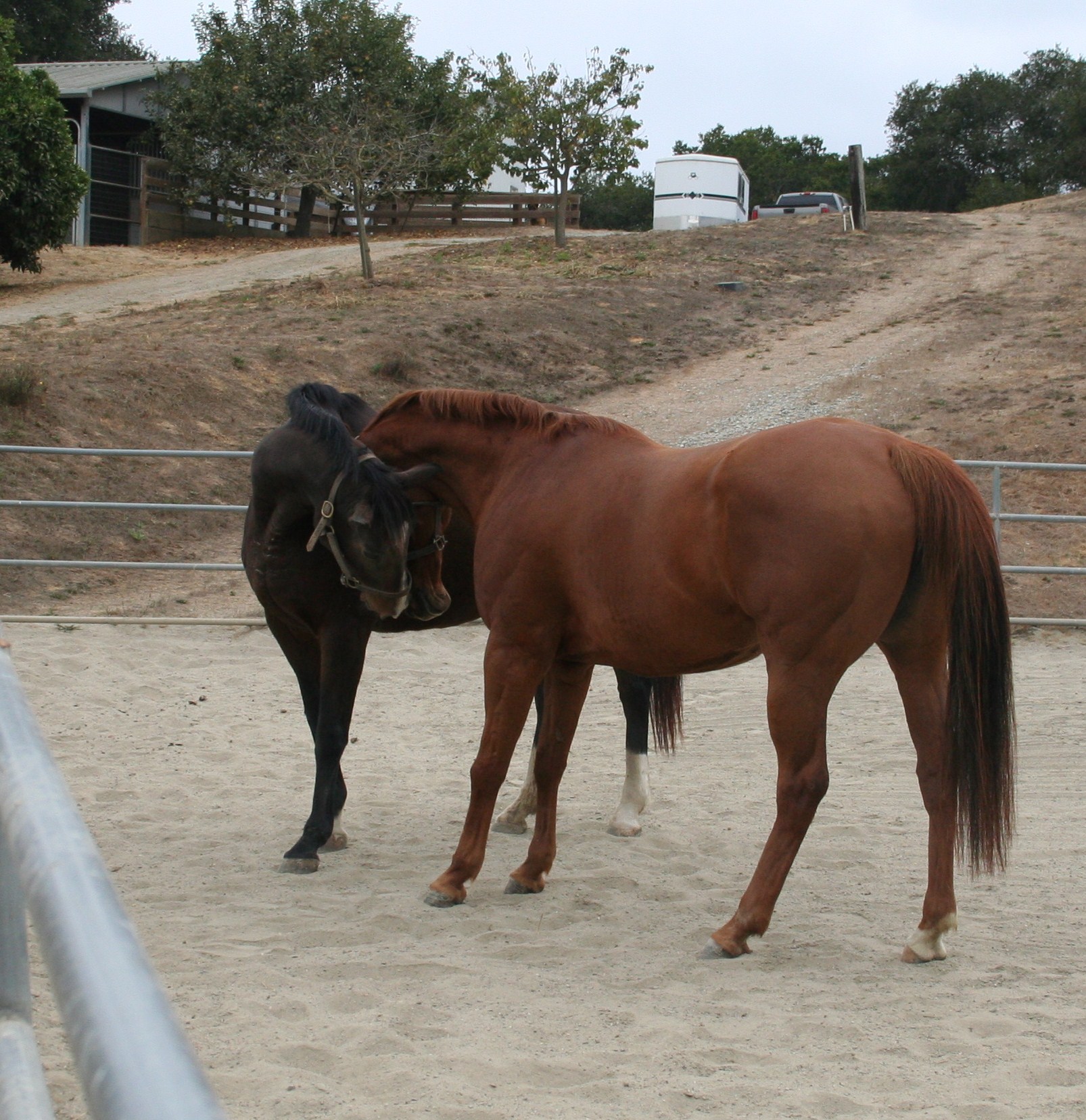 Links Coco and Superglued