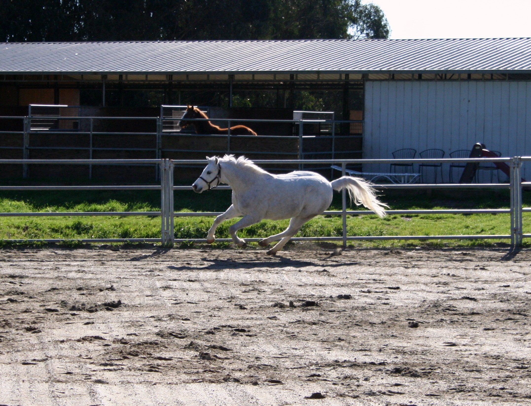 Minimoo page photo 4