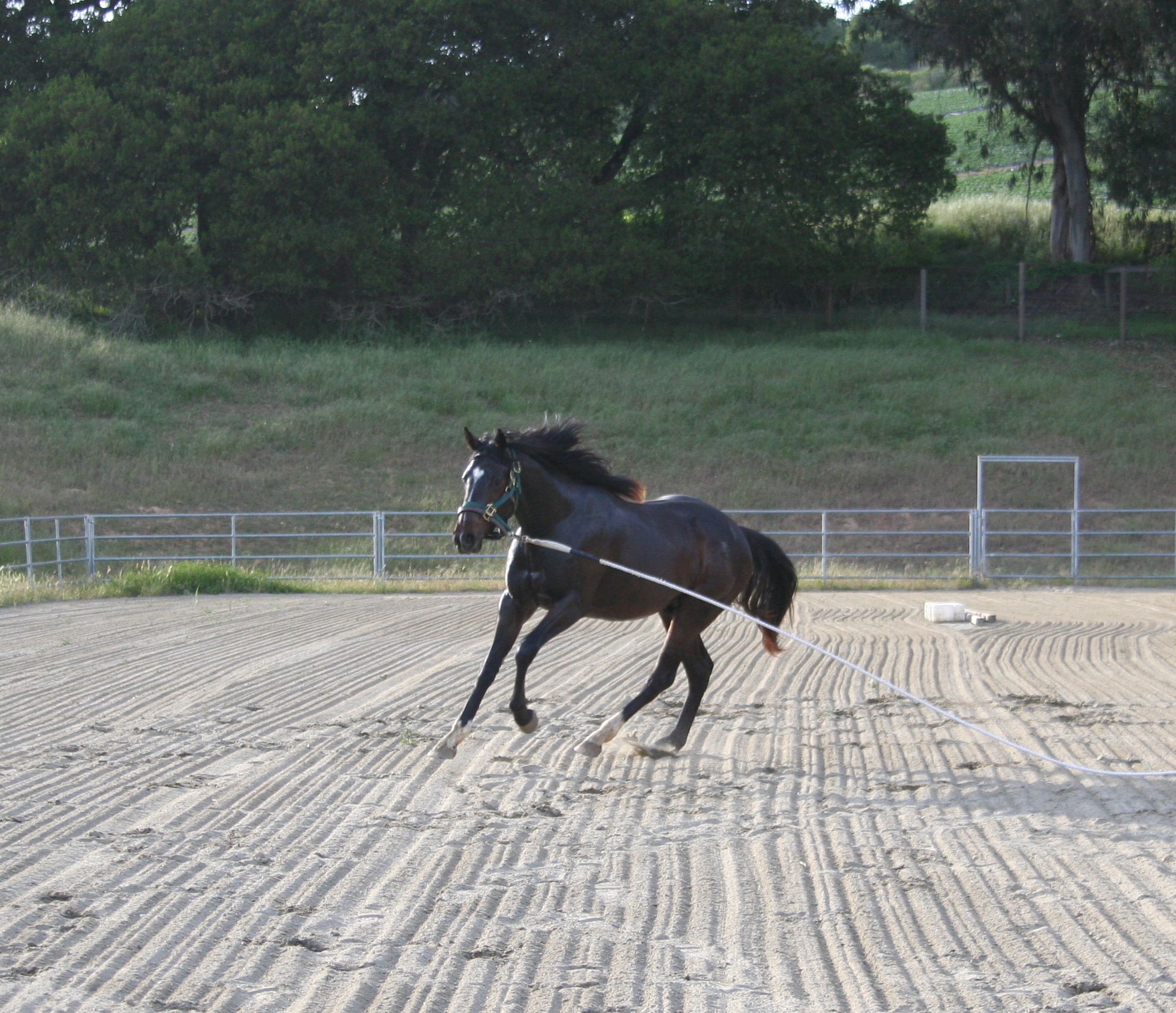 Rafa about us page 2