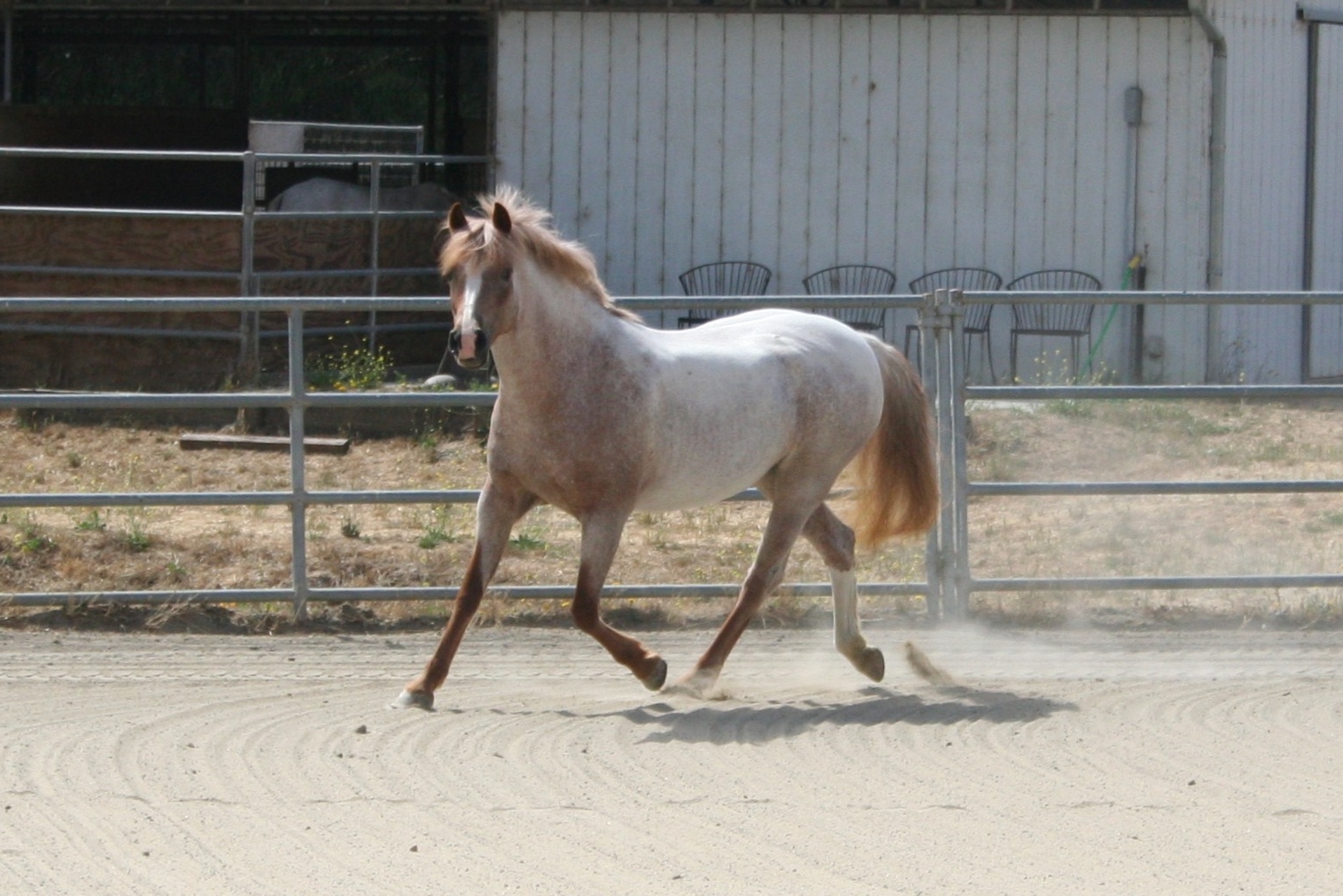 Ruby gallery page in action