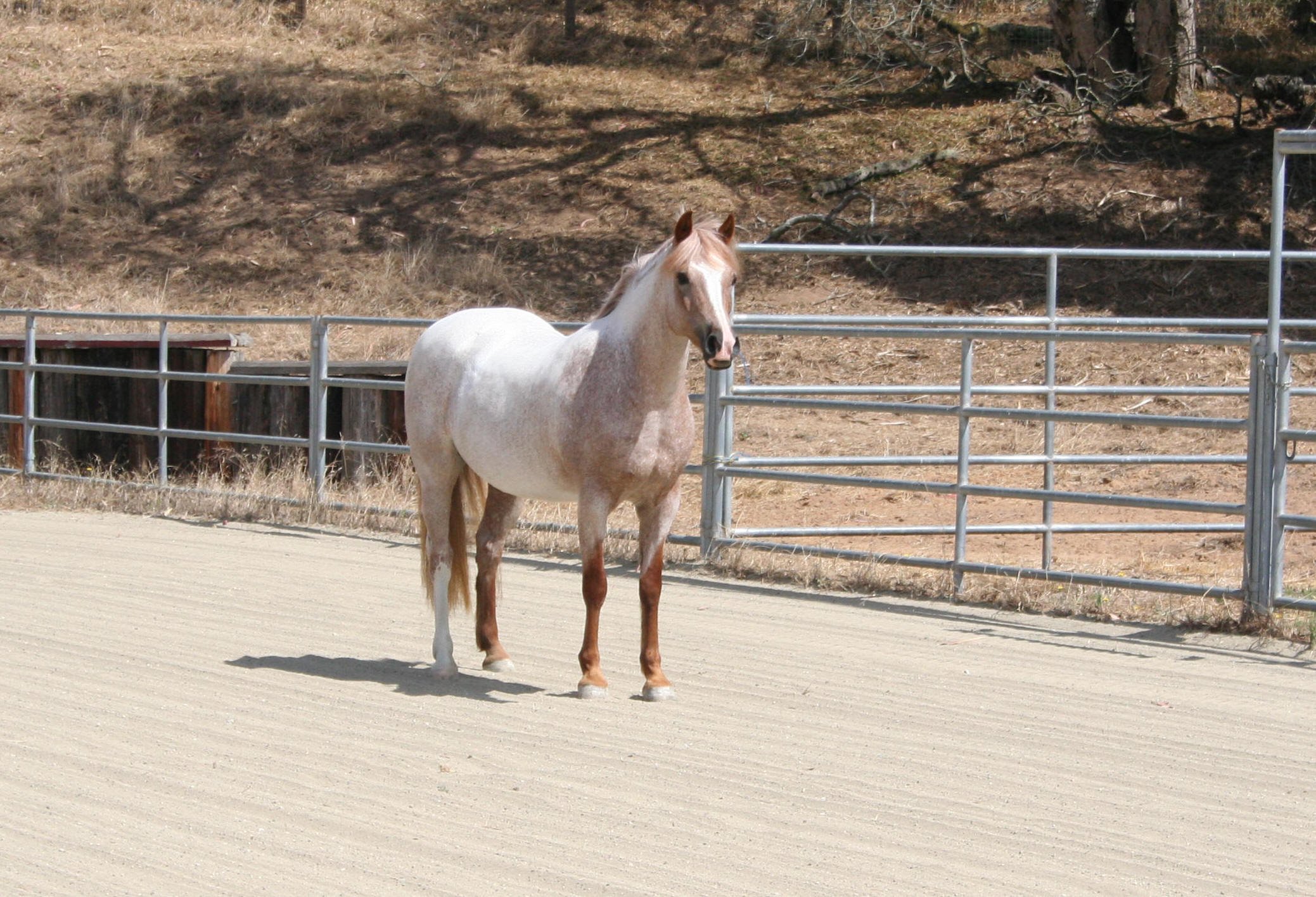 Ruby page 1 reformatted