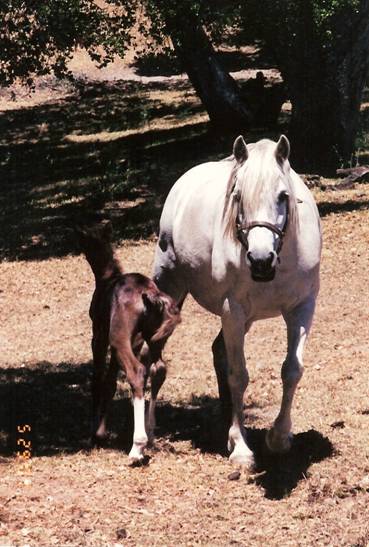 Section B page ripple